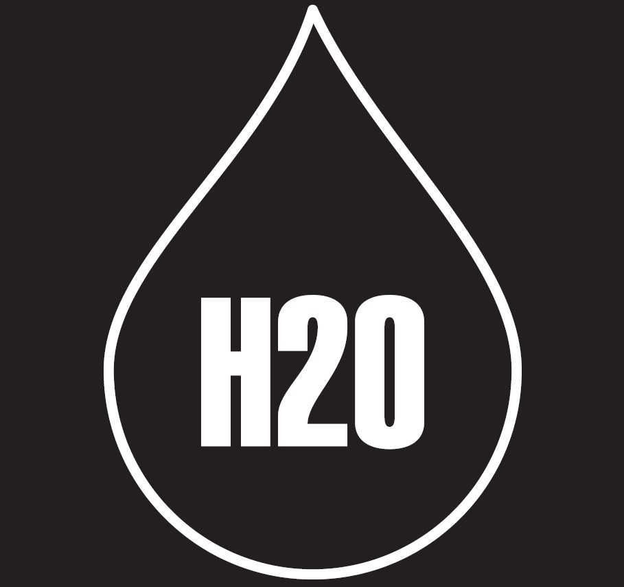 H20